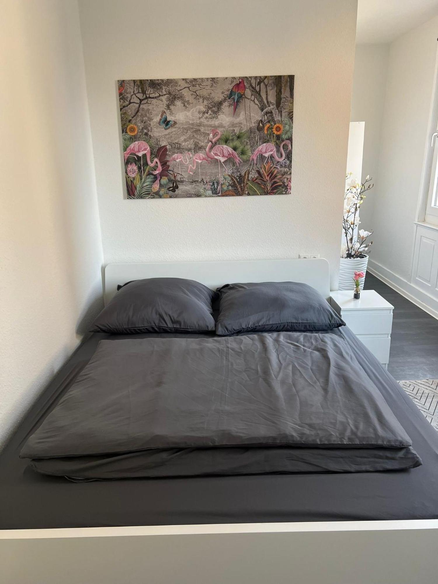 Apartment Apollo *